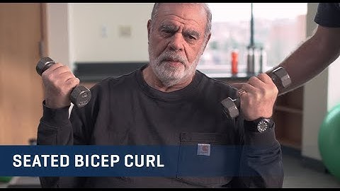 Seated Bicep Curls Exercise Video