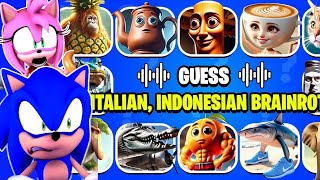 Sonic Watch Guess ITALIAN And INDONESIAN Brainrot Animals Memes