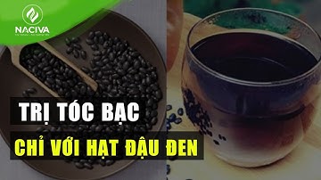 Cách trị tóc bạc sớm hiệu quả bằng đậu đen mà ai cũng làm được | NACIVA.VN
