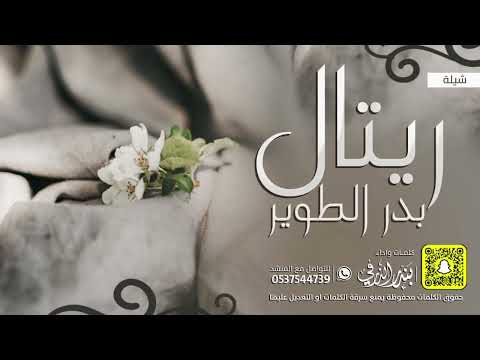 شيلة ريتال الطوير كلمات واداء بندر الذرفي