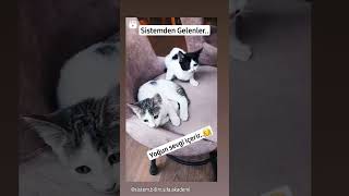 Sistemden Gelenler..