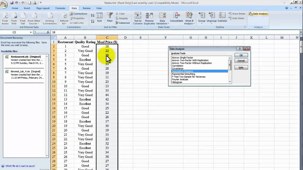 descriptive statistical analysis in excel