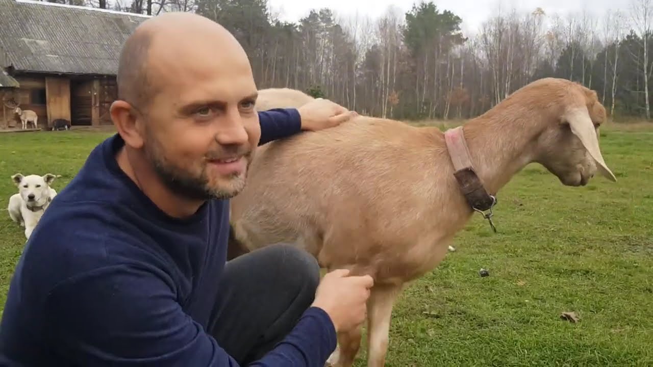 Сосед сделал НЕОЖИДАННЫЙ подарок нашей деревне! Что за таинственная стройка у края хутора?