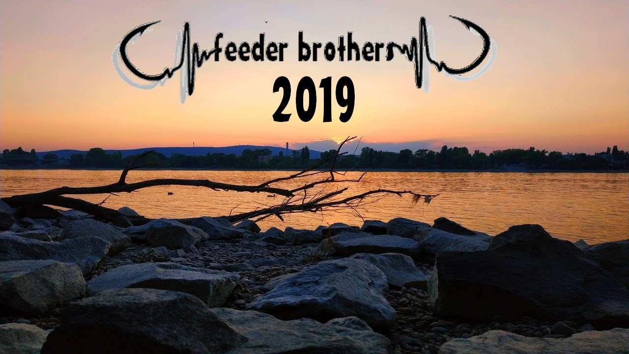 Feeder Brothers 2019