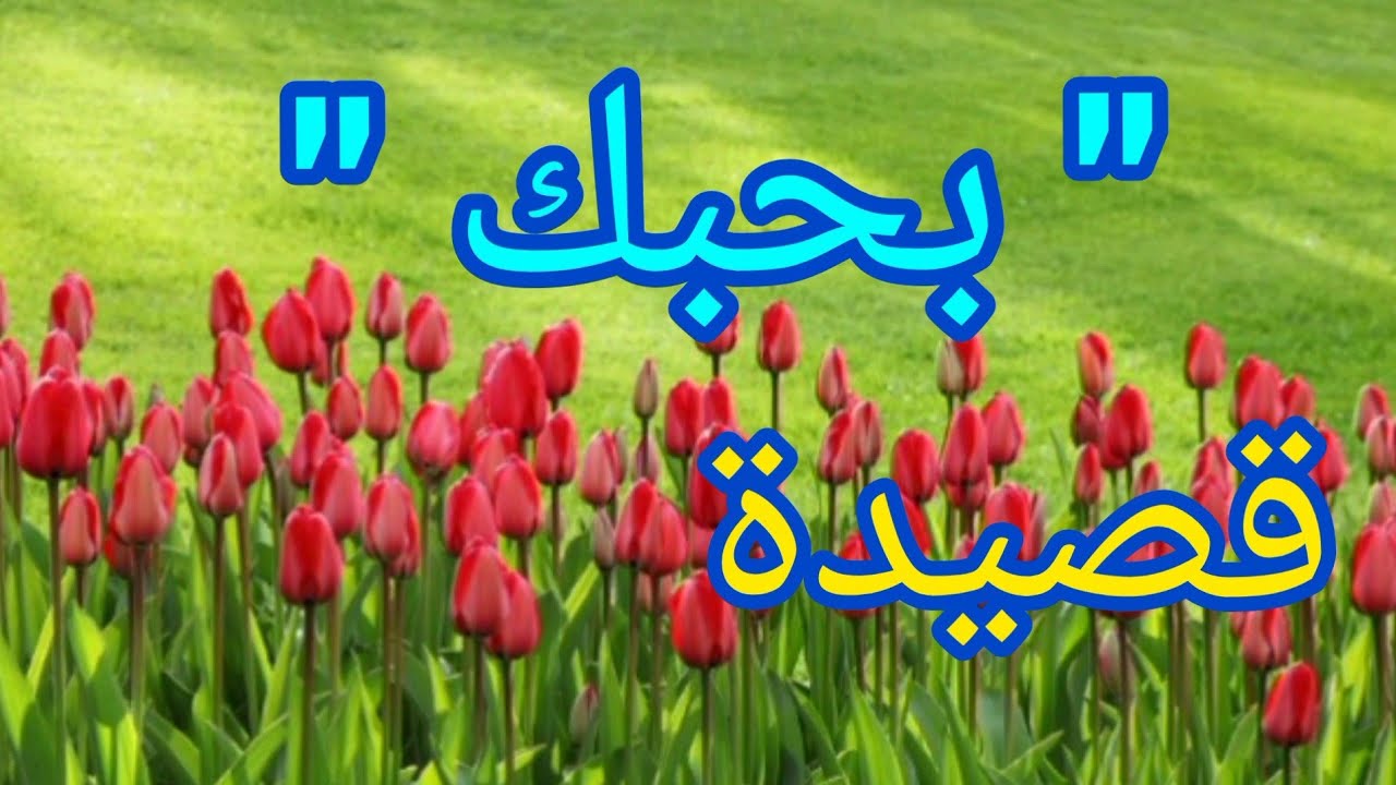 شعر لحبيبتي قصيدة بحبك شعر غزل روعة أجمل شعر رومانسي