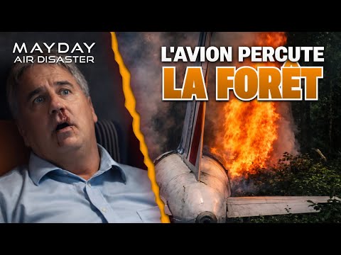 Crash A320 Habsheim 1988 Démonstration Tragique | Mayday Catastrophe Aérienne