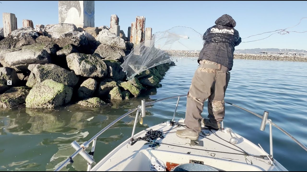 Alameda Rockwall Herring - January 16, 2026