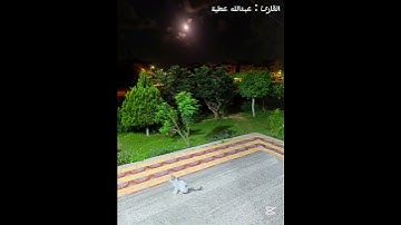 يا أيها الناس اتقوا ربكم واخشوا يوما لا يجزي والد عن ولده  | القارئ : عبدالله عطية