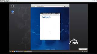 Workspot on IGEL Demo