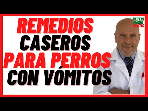 Video: Una Guía Para Usar La Dieta Para Tratar Los Vómitos En Perros