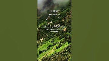 تلاوة خاشعة بصوت يريح الأعصاب #elmulquranعلم #قران_كريم #تلاوة #المصحف #اكسبلور #trend #دويتو