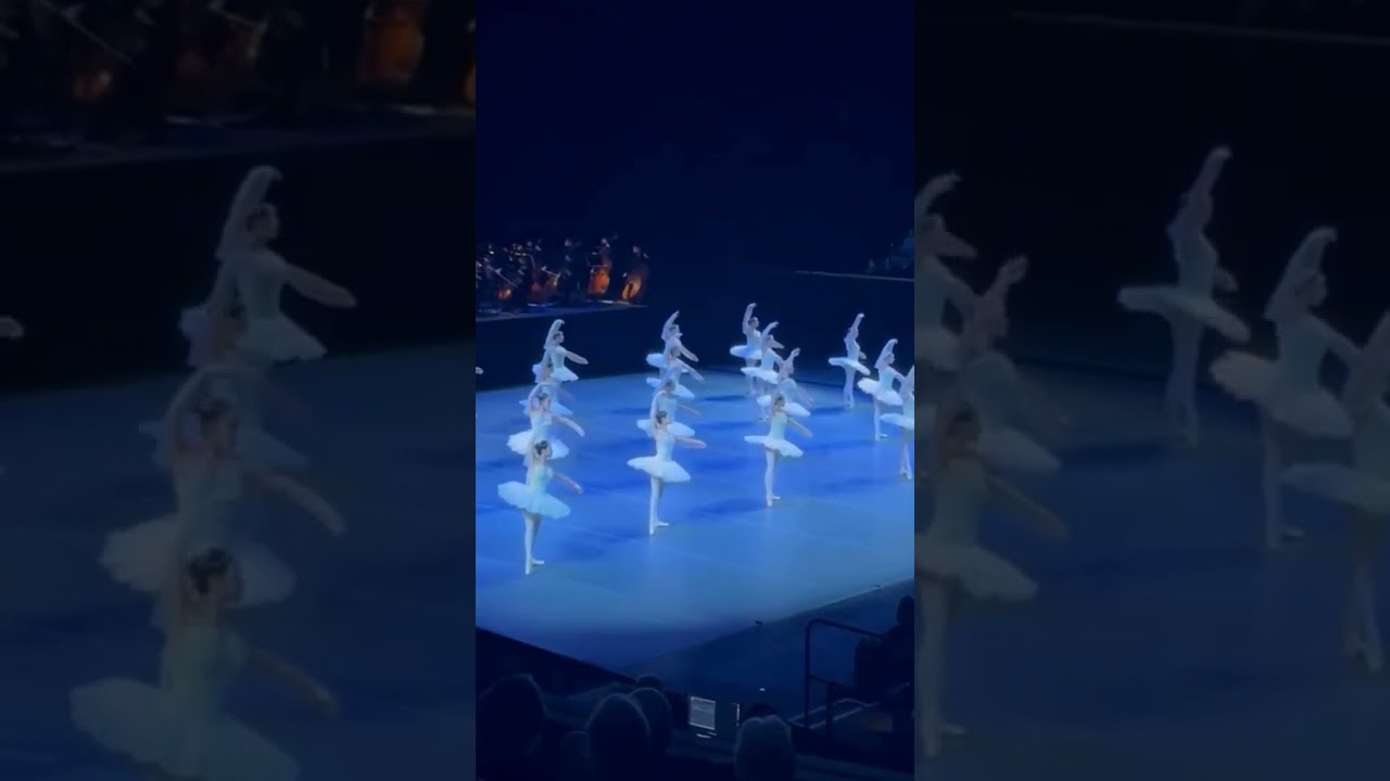 😍✨ @officialdavidhallberg @ausballet