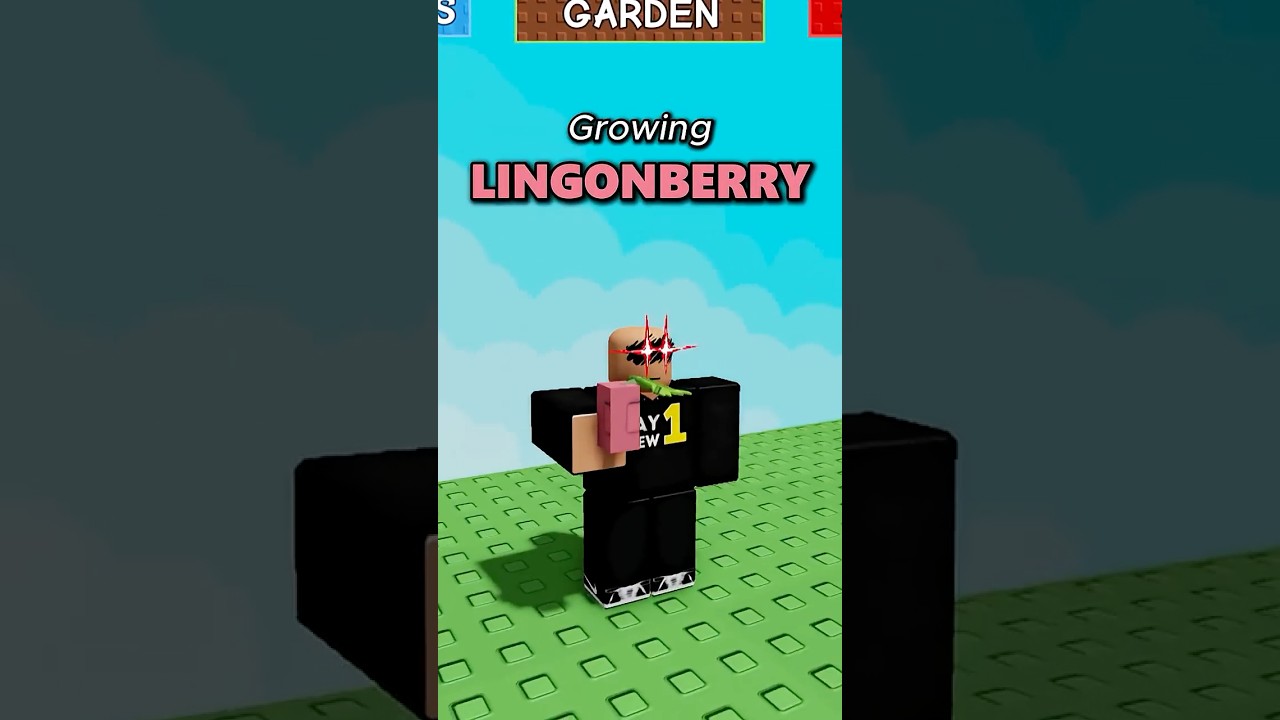 Growing Lingonberry In Grow A Garden