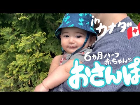 【生後6ヶ月】赤ちゃんとおさんぽ~go for a walk with cute baby:)~ 海外生活｜国際結婚｜子育て｜カナダ