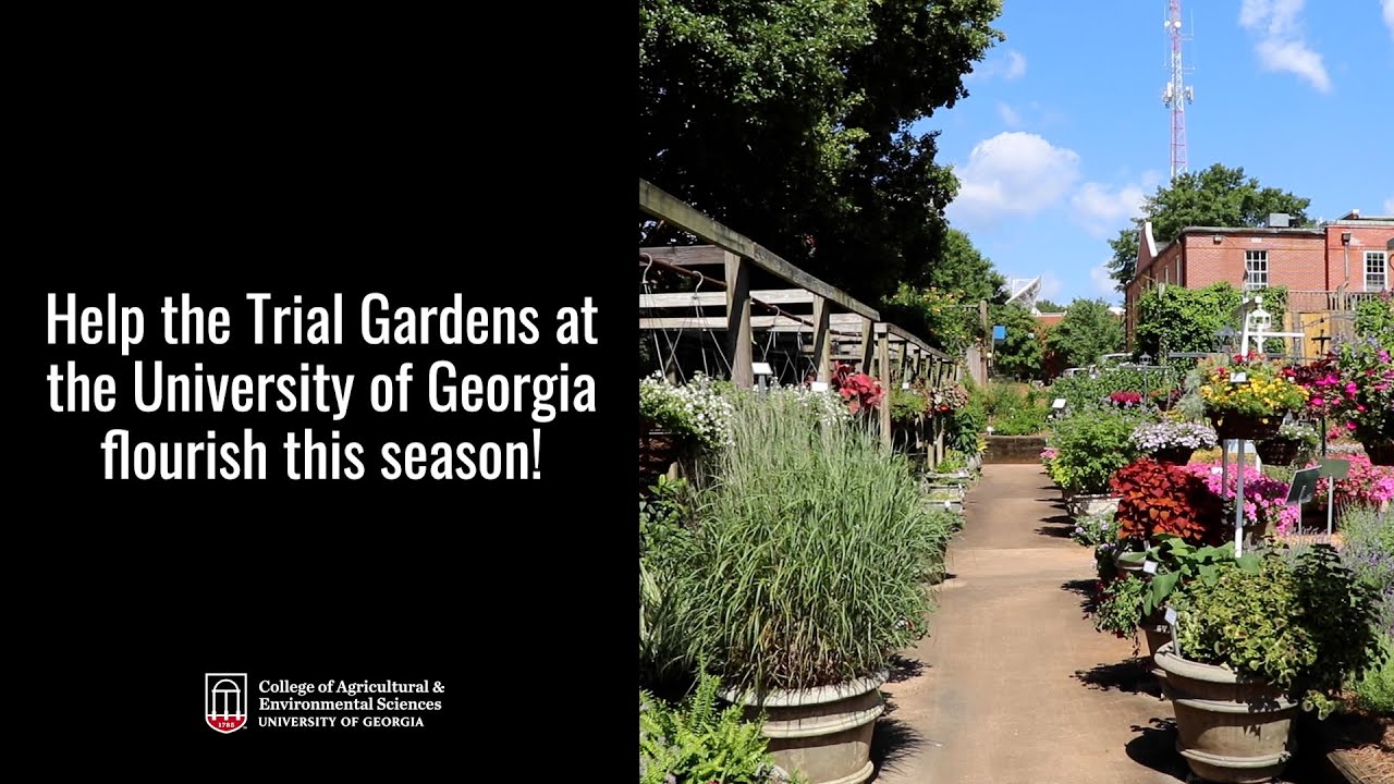 Horticulture, image size:1280x720