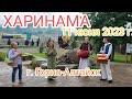 11 июня 2023 г. Харинама в Горно-Алтайске.