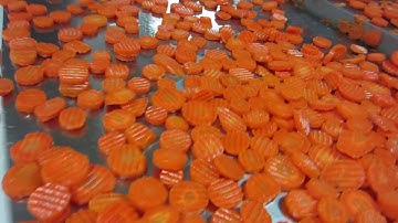 Crinkled carrot slice sorting machine Genius - TOMRA Sorting