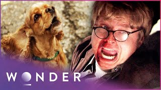 PET HEROES - THIS MAN'S LIFE WAS IN DANGER UNTIL HIS DOG SAVED HIM