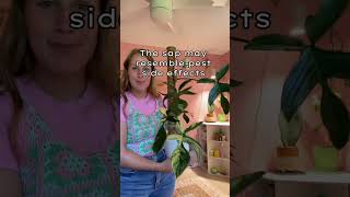 Download Lagu STICKY DROPS ON MY PLANT 😨 #plants #houseplants #houseplantclub #fyp MP3