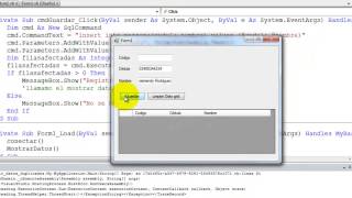 datagridview visual basic  net