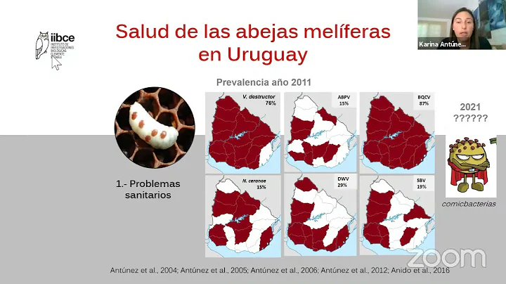 seminario IIBCE: Karina Antnez