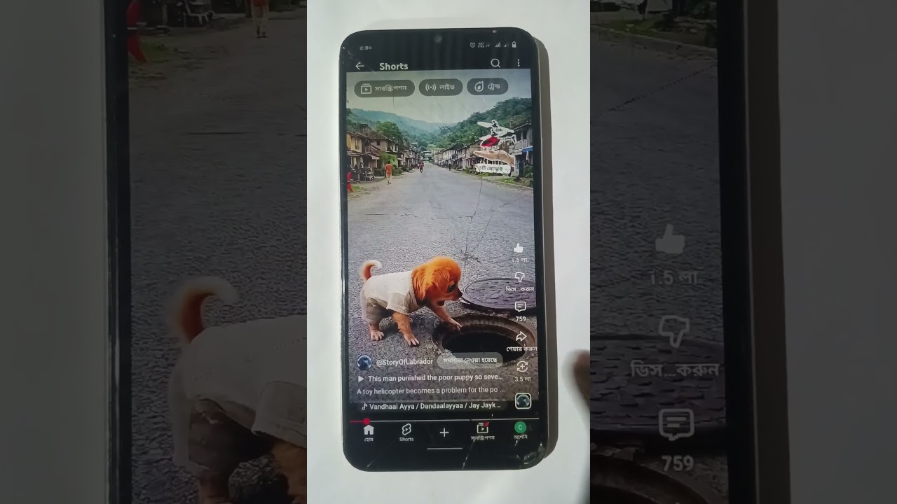 smart appliances!, tools items, new gadgets, versatile utensils, 