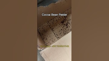 Automatic Cocoa Bean Peeling Machine makes the peeling easier