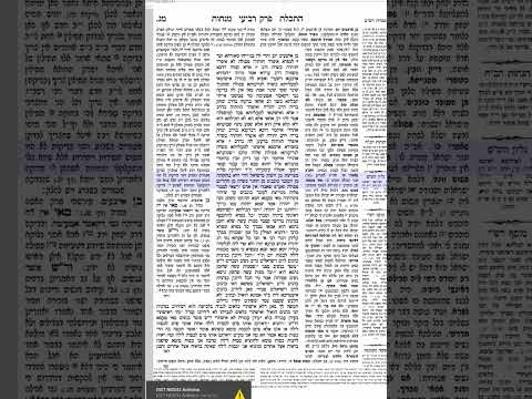 דף היומי מנחות דף מג