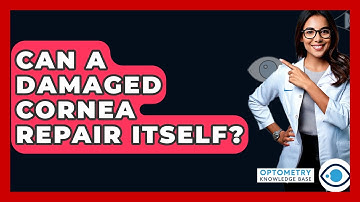 Can A Damaged Cornea Repair Itself? - Optometry Knowledge Base