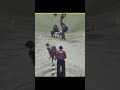 Why Cricket Is Not Played in the Olympics?😨#shorts