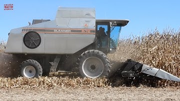 GLEANER R72 Combine Harvesting Corn