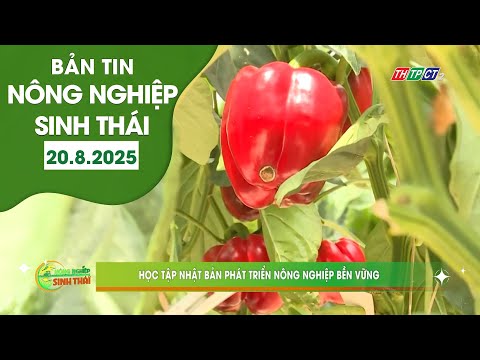 Học tập Nhật Bản phát triển nông nghiệp bền vững