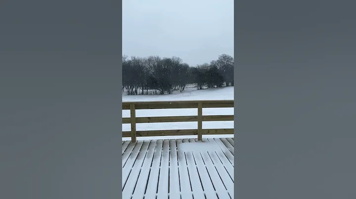 Video: Cindy A Hampton