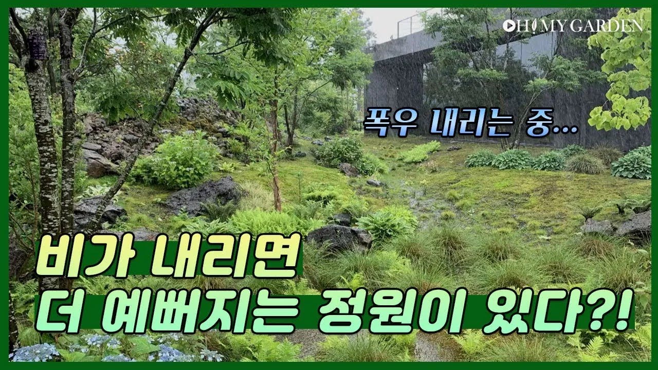 [정원의 발견] 빗물 정원 Rainwater Garden | KBS제주 20200710 방송 - YouTube