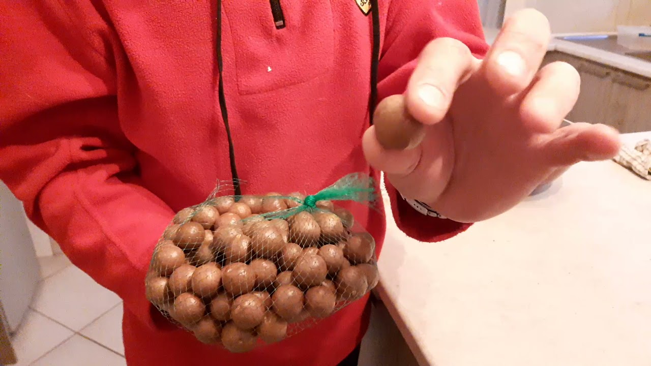 how to crack open a macadamia nut the easy way... YouTube
