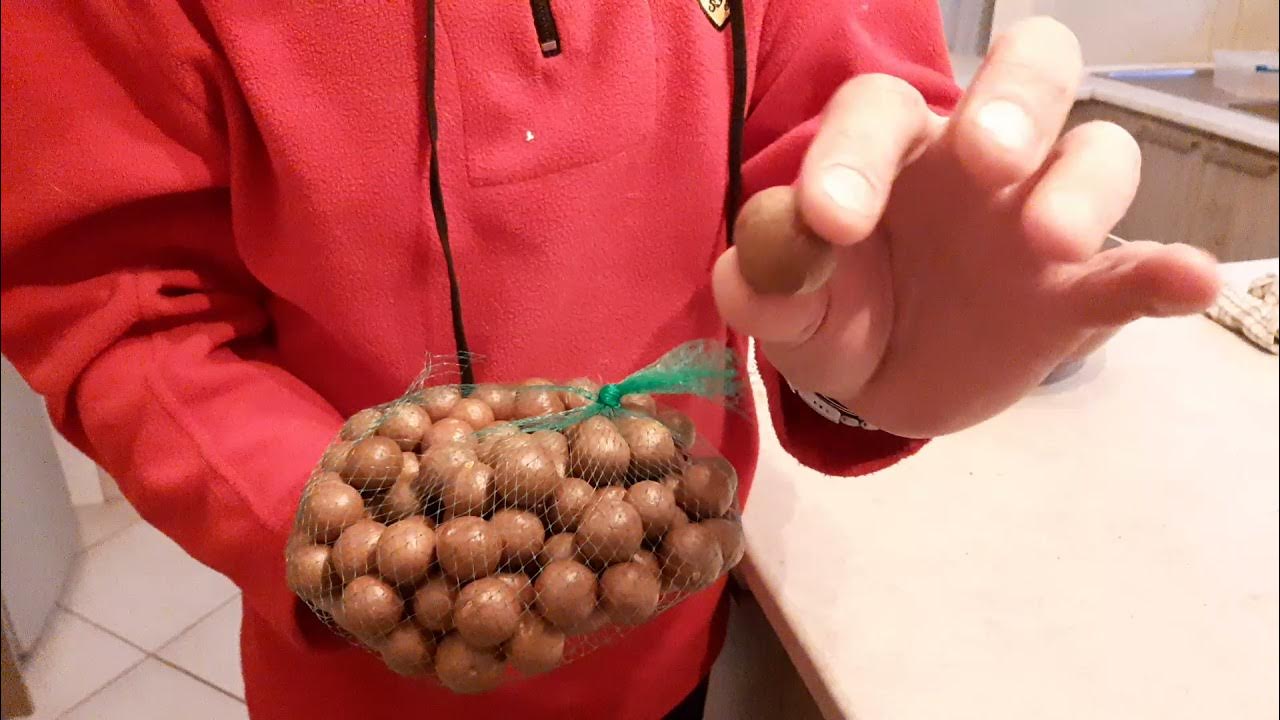 how to crack open a macadamia nut the easy way... YouTube