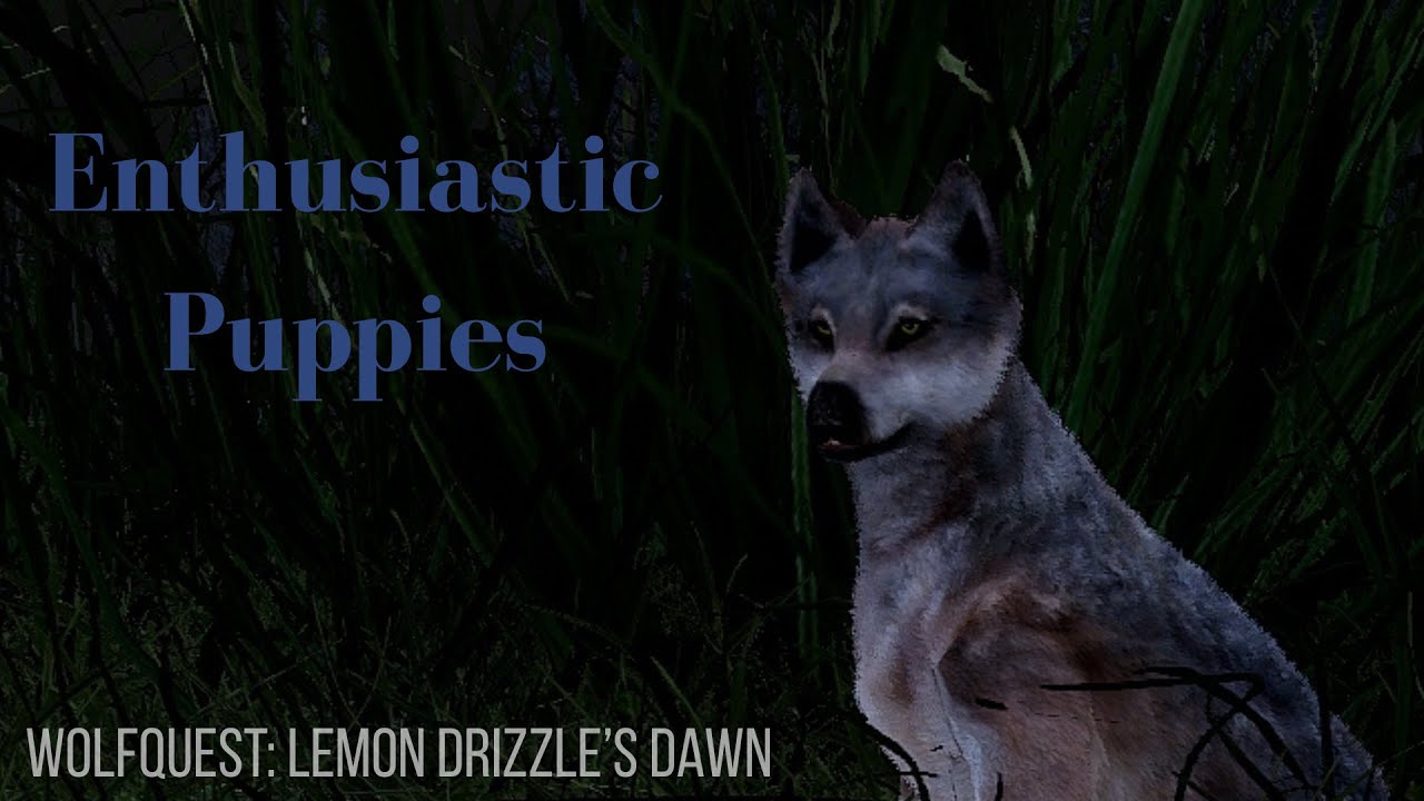 Восторженные щенки ~WolfQuest, Доблесть полевки~