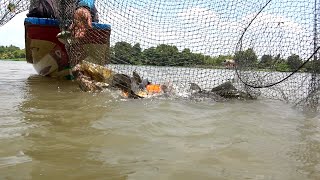 Thăm Dớn Cá Miền Tây: Khám Phá Dớn Cá Đầy Bất Ngờ / Visit fish traps in the river region