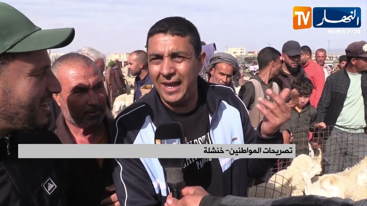 خنشلة: استيراد الأضاحي ينعش الأسواق المحلية.. تراجع يصل إلى 3 ملايين سنتيم