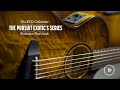 Breedlove eco collection pursuit exotic s series