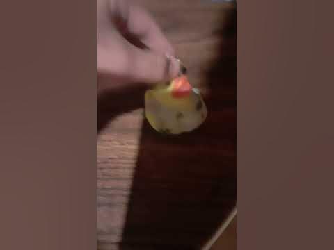 duckies shorts