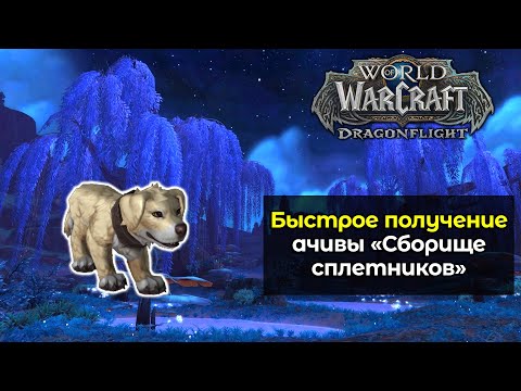 Быстрое получение достижения "Сборище сплетников" | World of Warcraft: DragonFlight 10.1.7