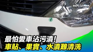 汽車貼紙如何去除 專家教你聰明妙招 汽車水垢清除方法 千萬不要用手摳 果實砸到車上怎麼清 先噴清潔劑再這樣做就對了 祝你健康 汽車貼紙如何去除 專家教你聰明妙招 汽車水垢清除方法 千萬不要用手摳 果實砸到車上怎麼清 先噴清潔劑再這樣做就對了 祝你健康