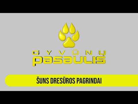 Video: Šuns Judrumo Pagrindai