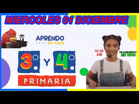 PRIMARIA 3 Y