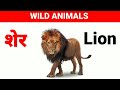 Wild animals name Hindi and English