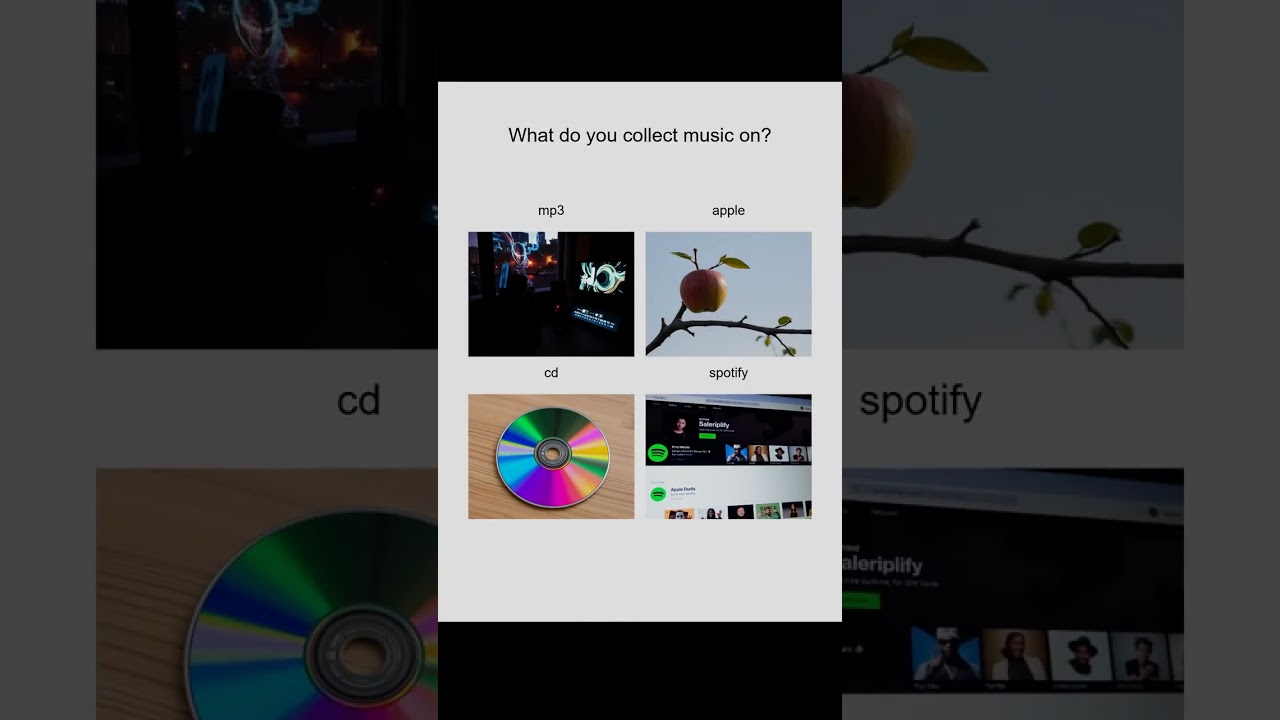 Where do you collect music records?  