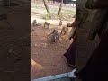#funny #comedy
