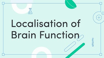 Y11-12 Psychology: Localisation of Function
