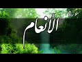 سورة الأنعام أحمد الشافعي سورة الأنعام أحمد الشافعي